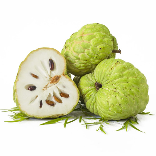 Custard Apple 1pc Brazil