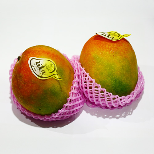 Mango Kent 350g to 400g/Pc Mexico