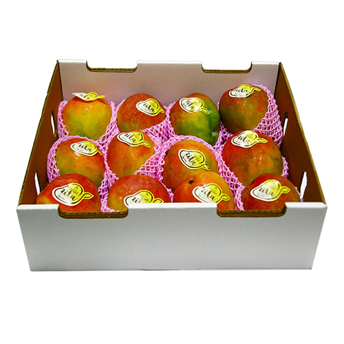 Mango Kent 5kg Mexico