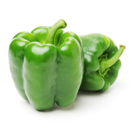 Capsicum Green 500g Spain