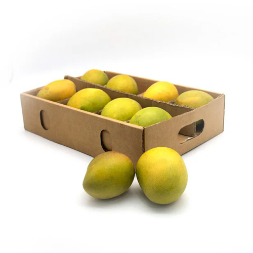 Mango Alphonso 1.7kg Indonesia