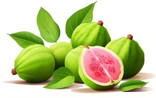 Guava Fruit